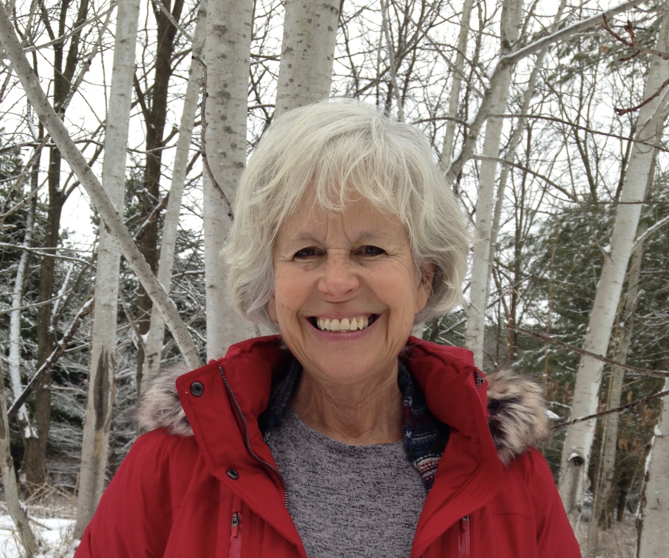 3 bedroom House for rent in Madison listing 163732